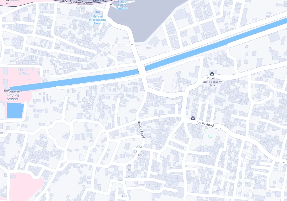 Map preview showing The Toddler House on Kustia Road near Topsia Road, Kolkata